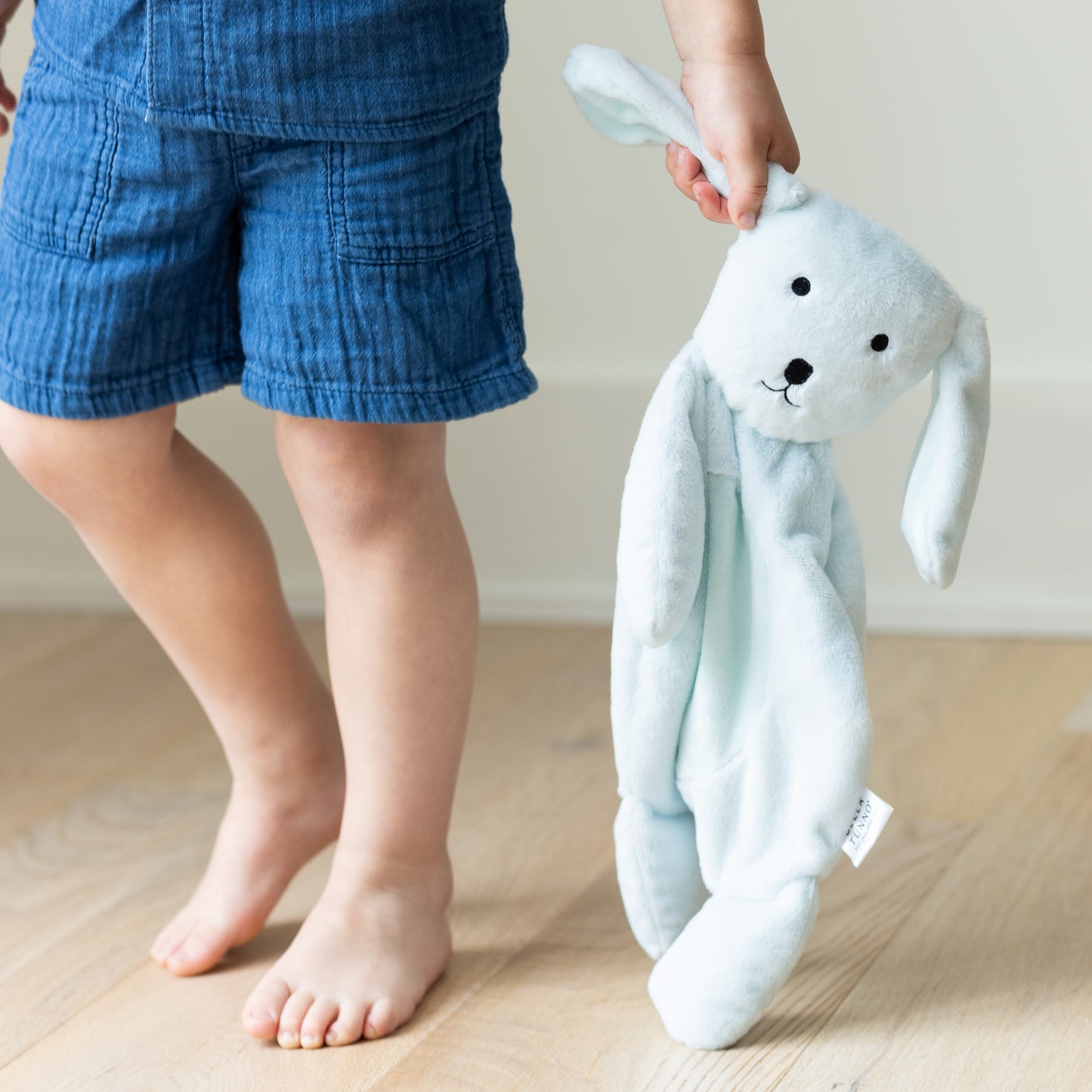 Big Buddy Danny the Dog