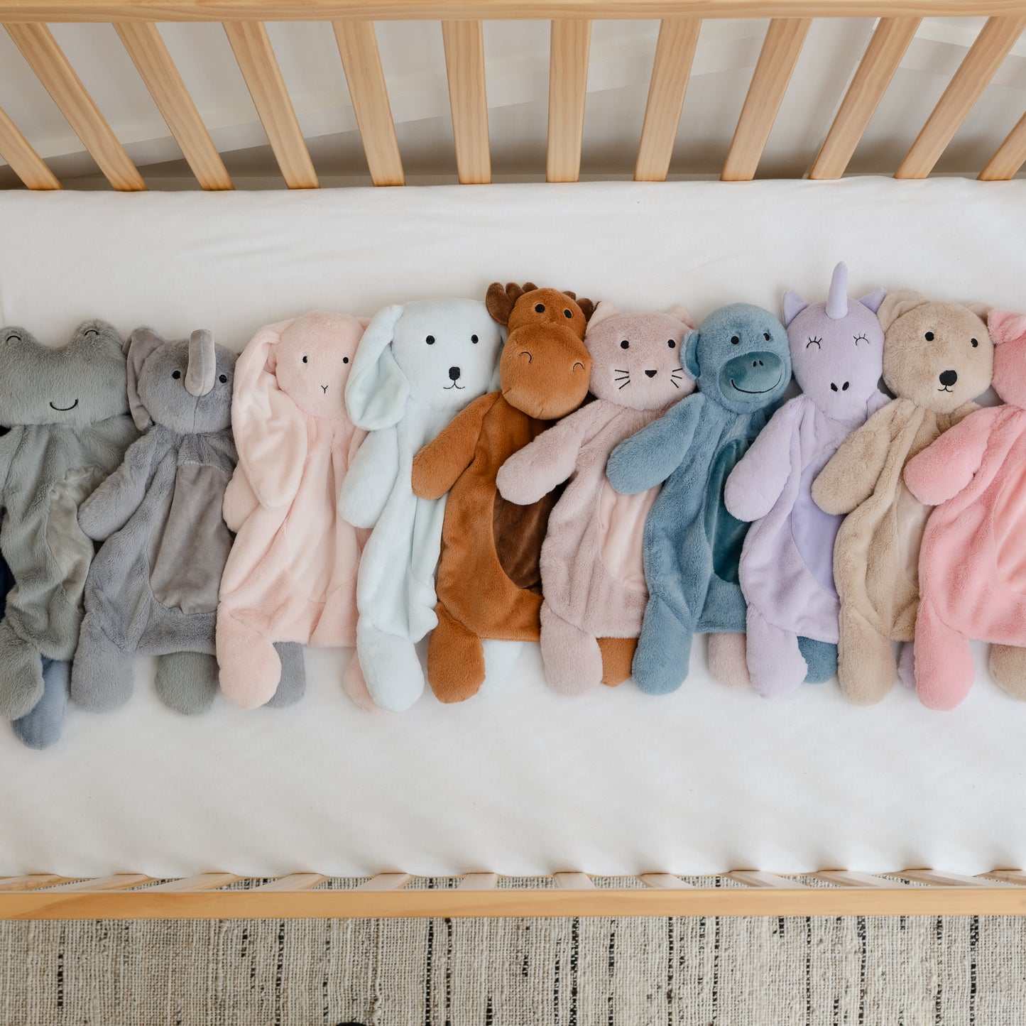 Big Buddy Charlotte the Cat