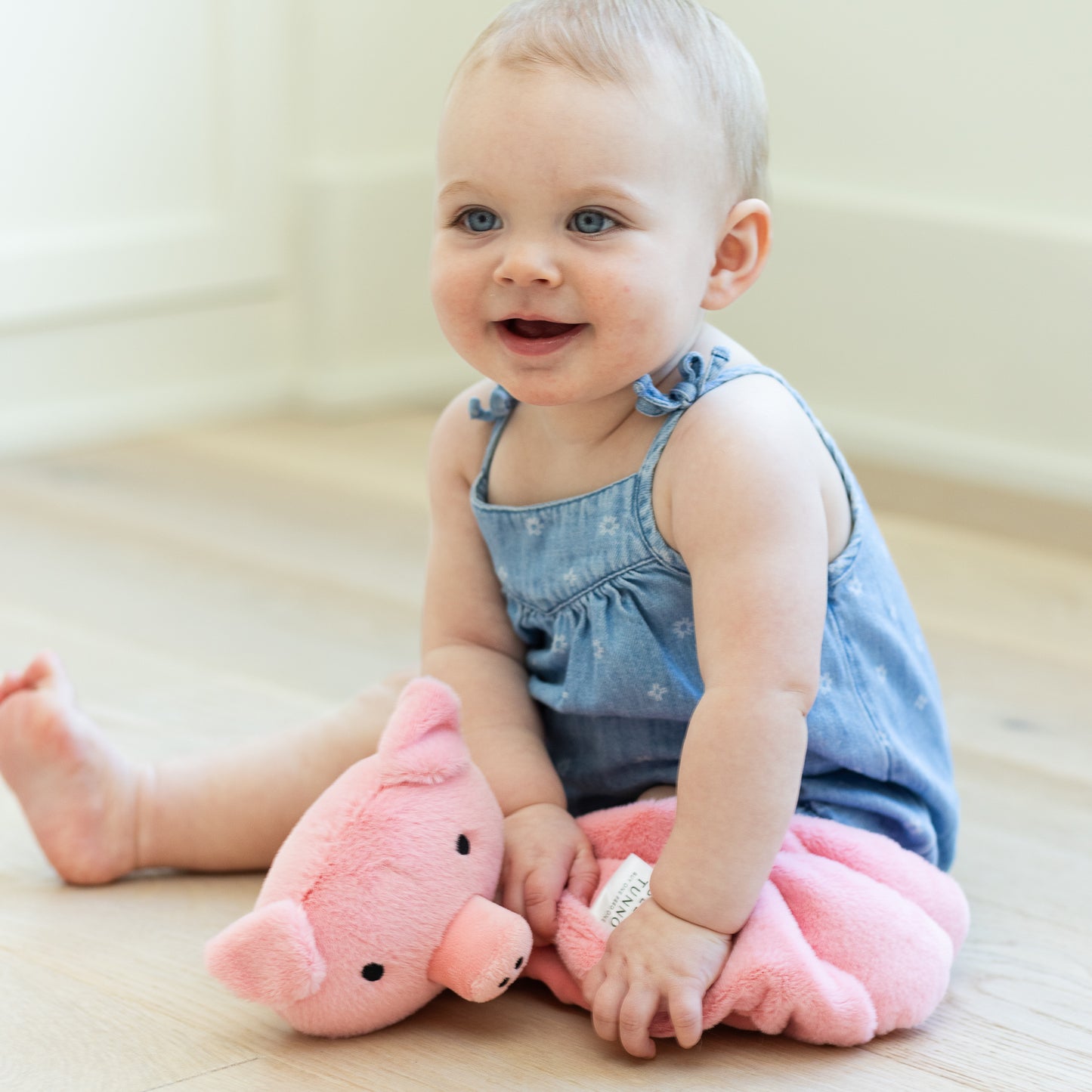 Big Buddy Penny the Pig