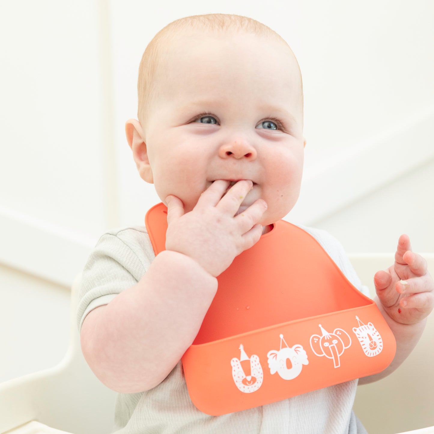 Party Animals Beginner Bib