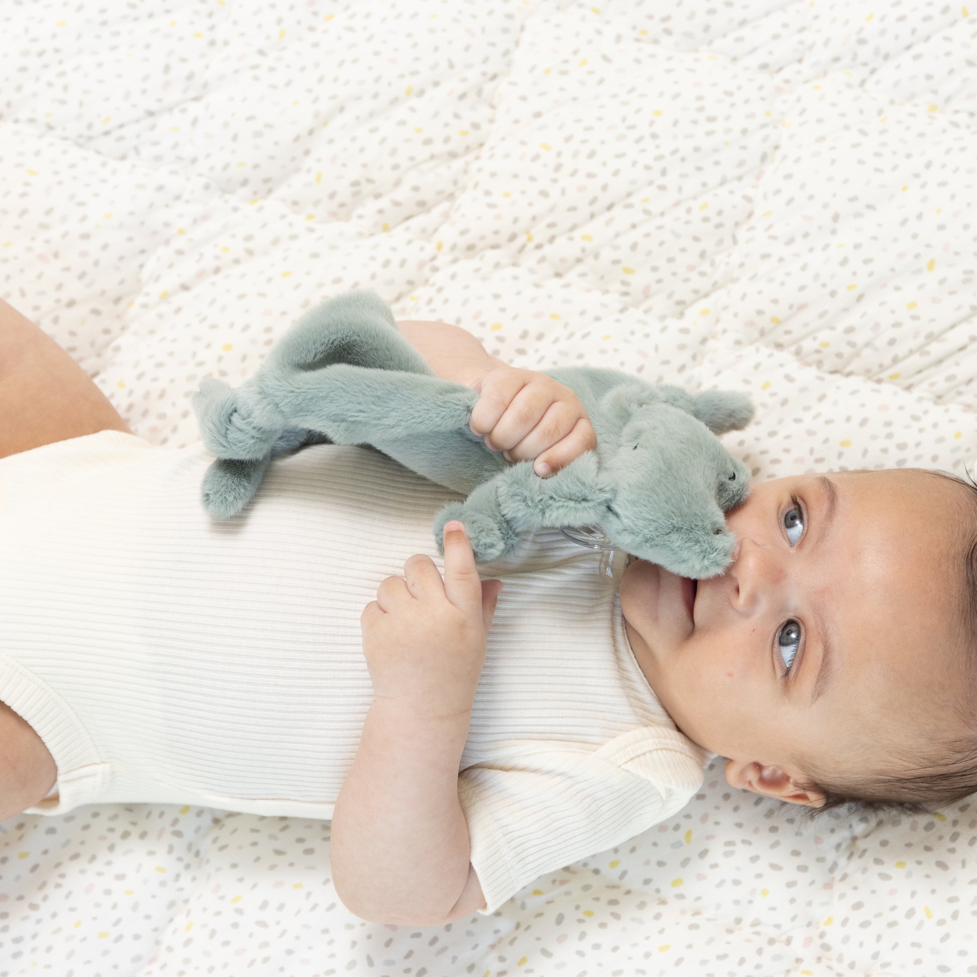 Summer Infant slumber buddy freddie kikker Summer Infant slumber buddy freddie kikker