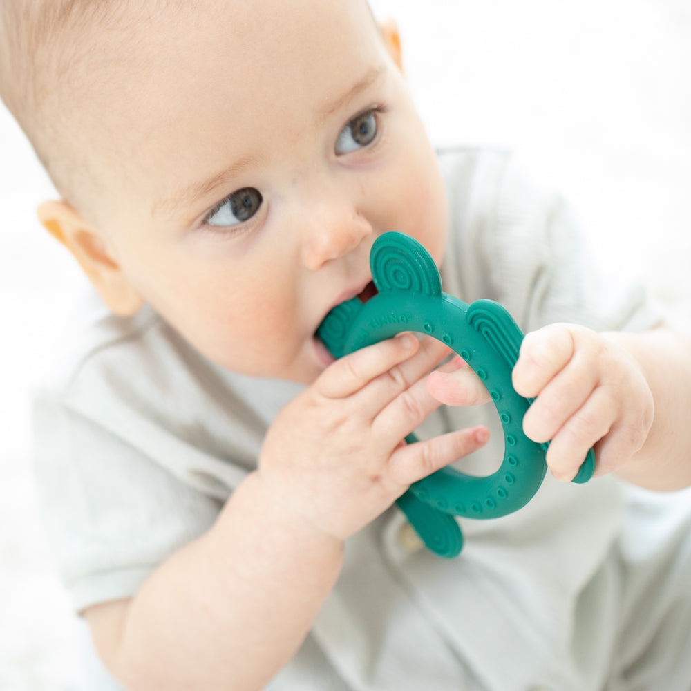 Frog Rattle Teether – Bella Tunno