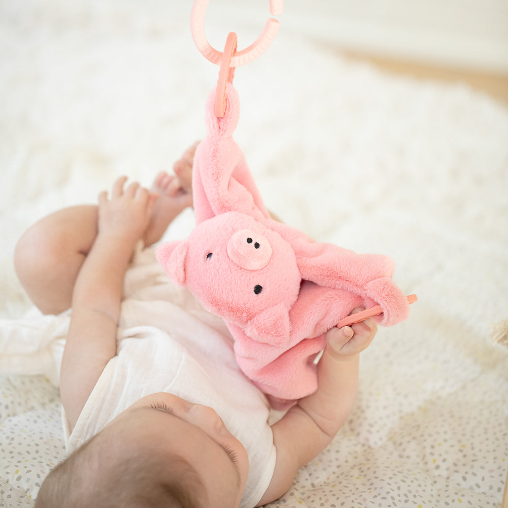 Pig teether 2024