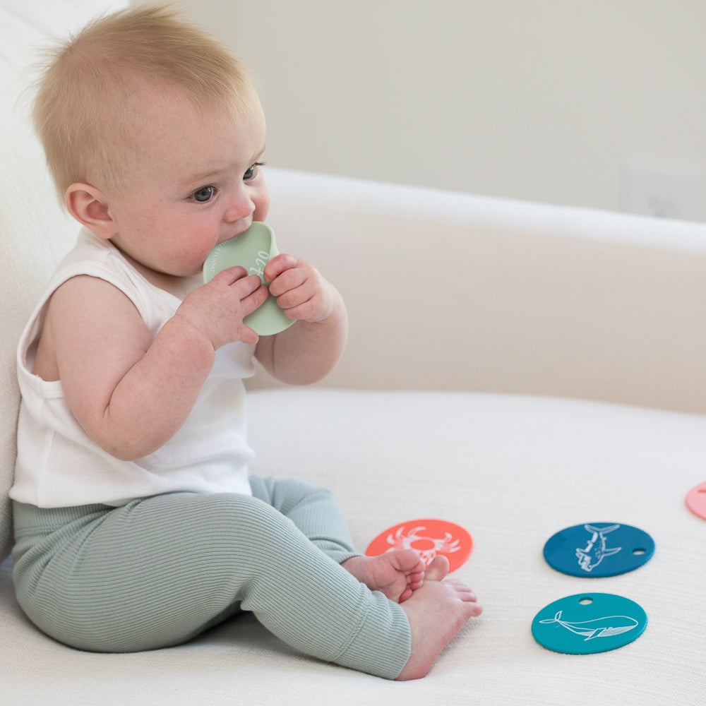 Under the Sea Teething Flashcards