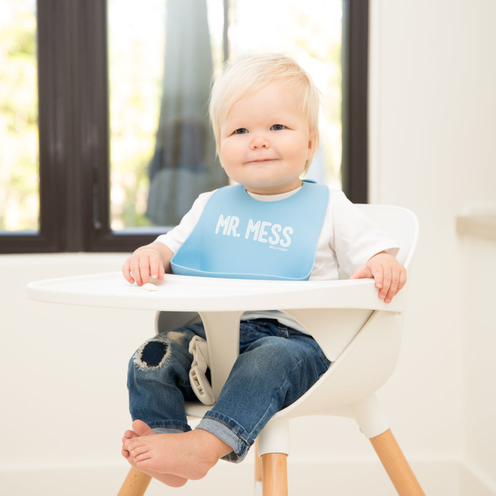 Mr Mess Wonder Bib